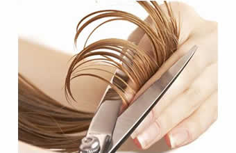Marleide Amorim Coiffeur - Foto 1