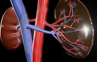 Dr. Marcos de Figueiredo Cardoso - Foto 1