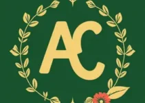 curso gratuito de design em Mauá
