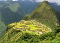 curso gratuito de design sustentável