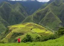 programação cultural de fevereiro