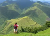 contratação emergencial