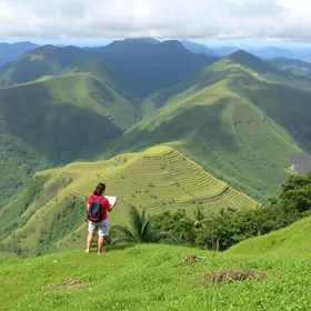 contratação emergencial