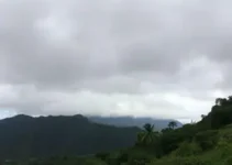 mauá
