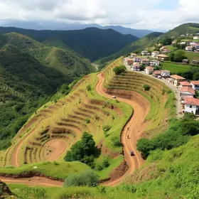 Periferia Viva