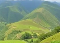 Prefeitura de Mauá SP