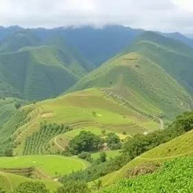 Prefeitura de Mauá SP