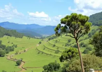 Últimas noticias de Mauá