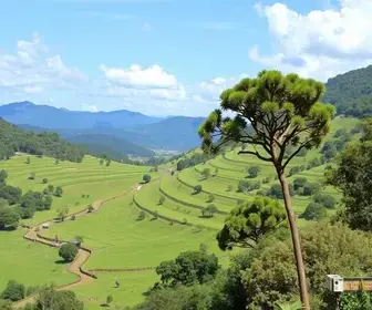 novas vagas na saúde